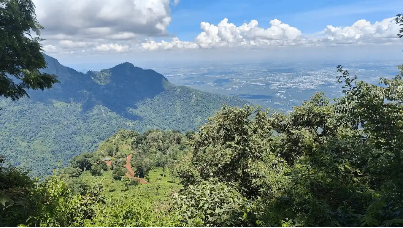 Dolphin's Nose Viewpoint